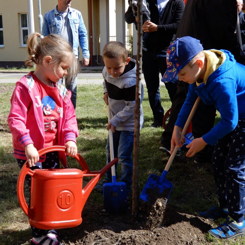 Életfa ültetés a város napján 36